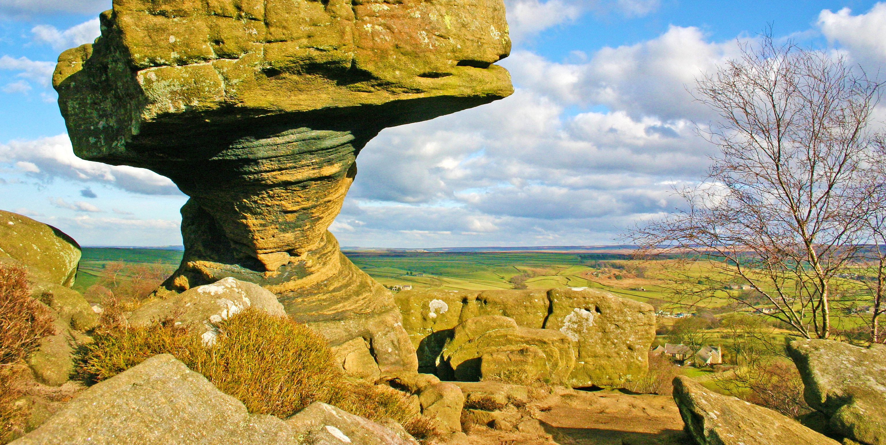 Nidderdale Way